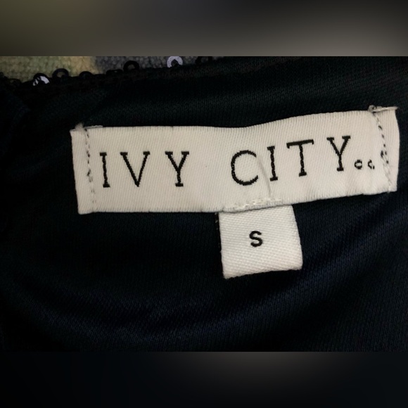 Ivy City Co Starstruck Dress in Navy Small Size - Picture 13 of 13